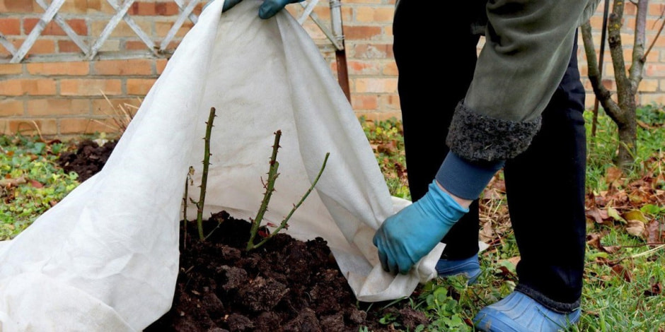 Готовим дачный участок к зиме 3.jpg