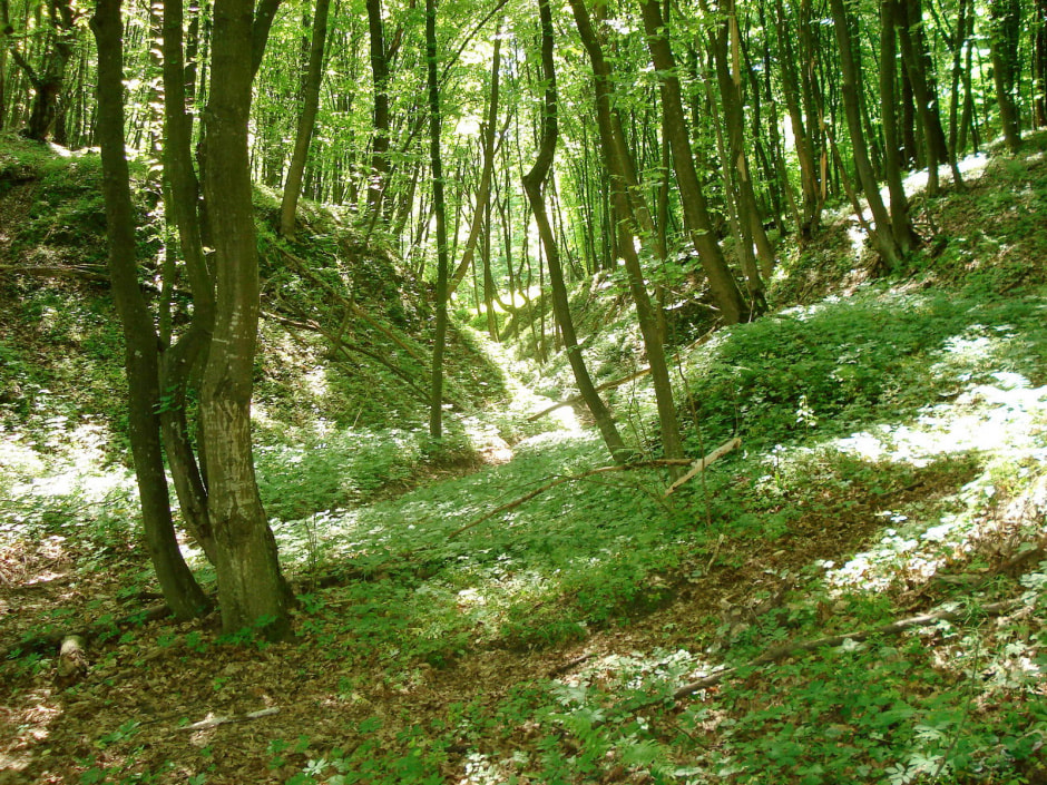 Едзем у Мазыр 35-1.jpg