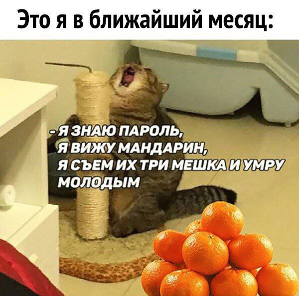 мемы_новыйгод12-1.jpg