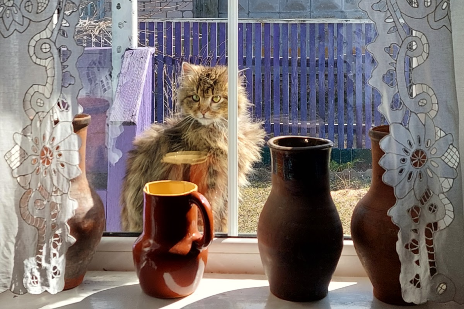 Бабушкин дом в Александровке 2.png