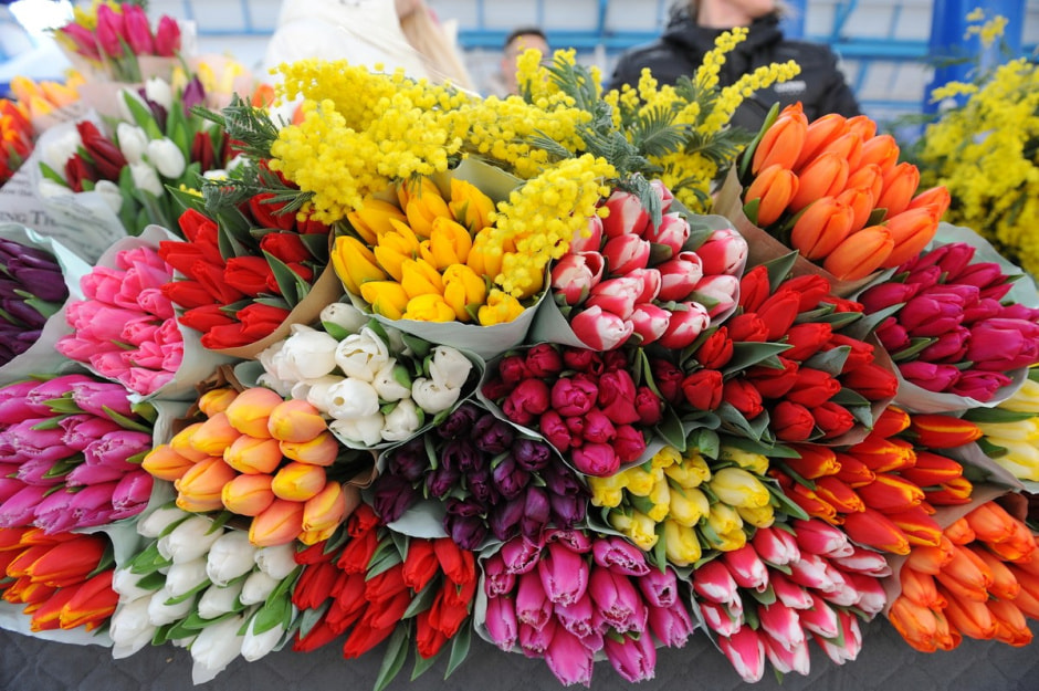 Цветы на Комаровке 1.jpg