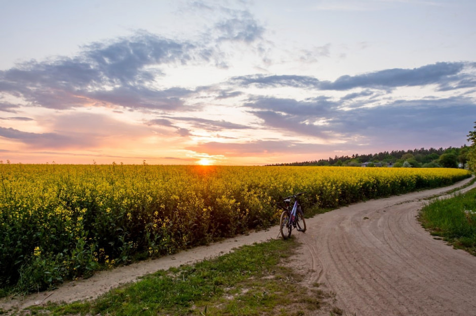 Что нужно успеть сделать в августе с деревне 7.jpg