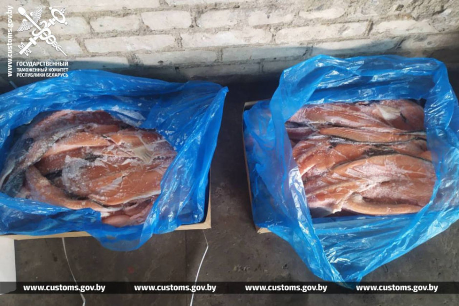 форель гтк 2.jpg