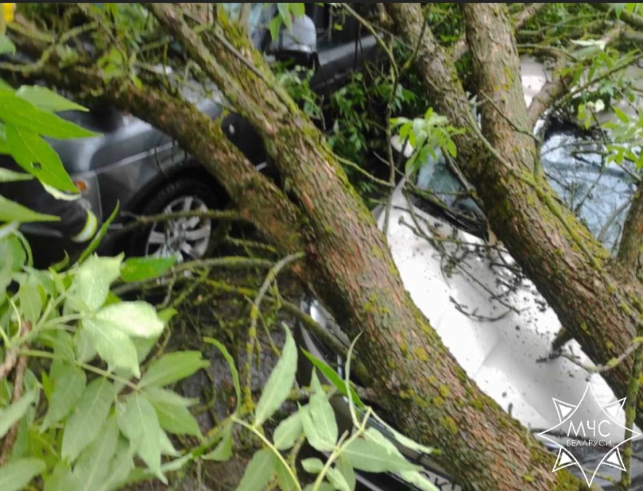 photo_2023-06-19_18-53-40.jpg photo_2023-06-19_18-53-40.jpg