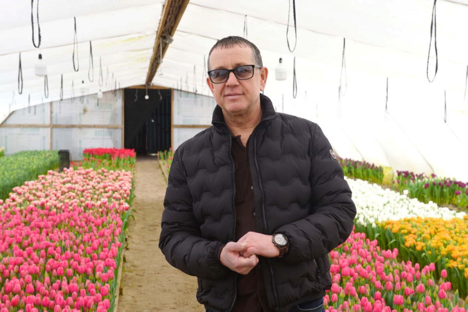 Как на Полесье выращивают тюльпаны 20_Владимир Диковицкий.jpg