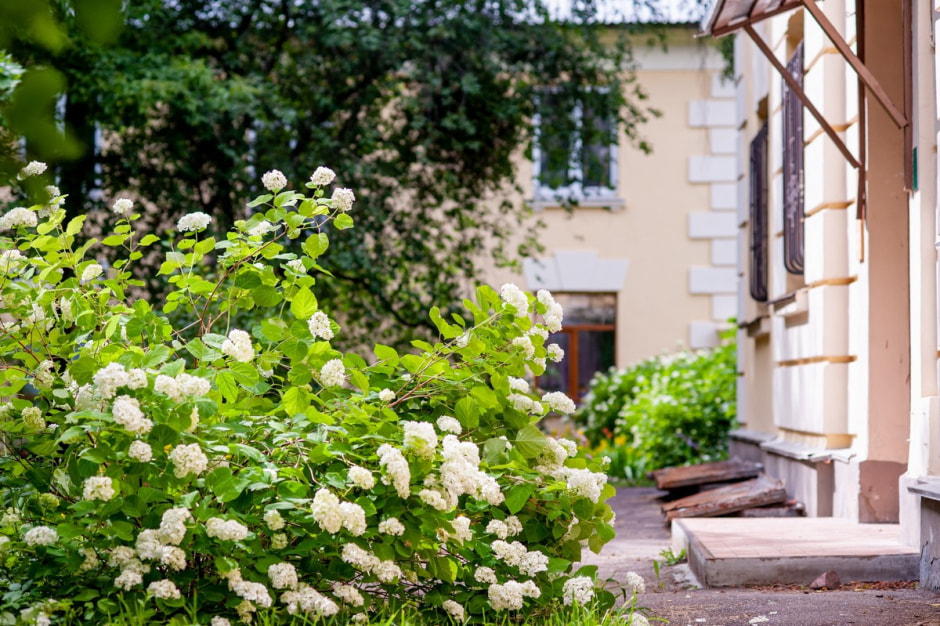 Репортаж из минской Осмоловки 3.jpg