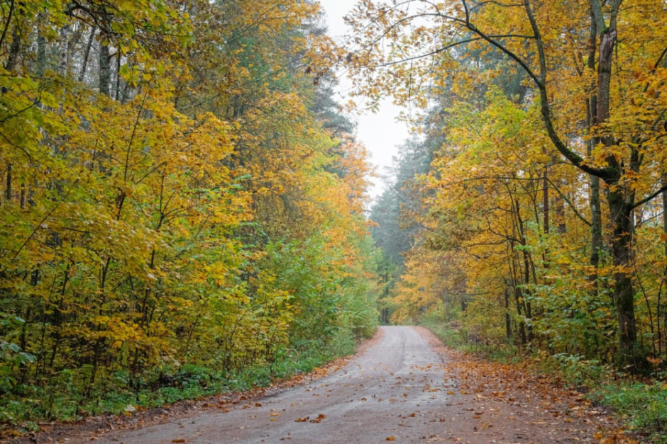 Минчанин переехал на остров в деревню 2.jpg