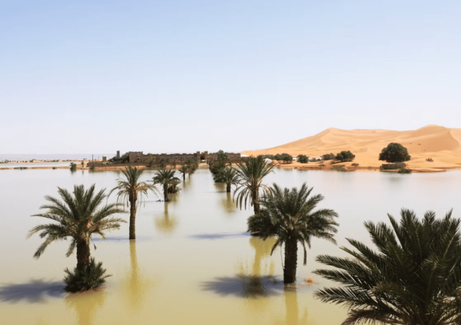 Сахару частично затопило проливными дождями.png Сахару частично затопило проливными дождями.png