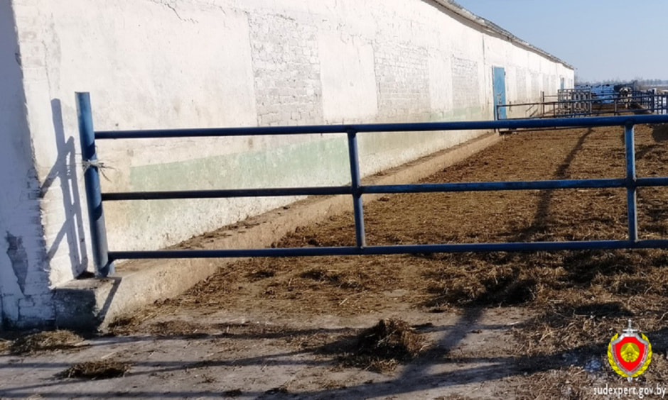 Загон для животных.jpg