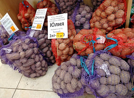КГК закрыл магазины на Гомельщине из-за “липовой” картошки и запрещенных семян
