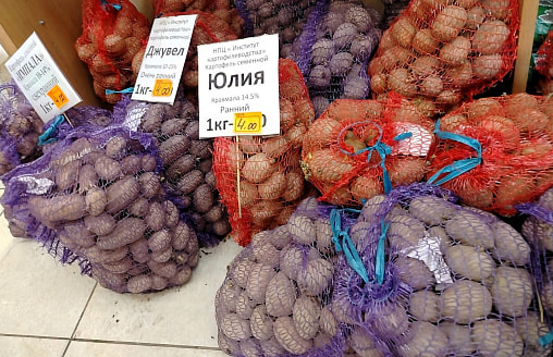 КГК закрыл магазины на Гомельщине из-за “липовой” картошки и запрещенных семян
