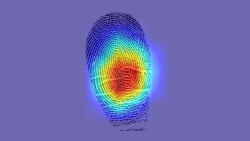 Отпечатки пальцев.jpg
