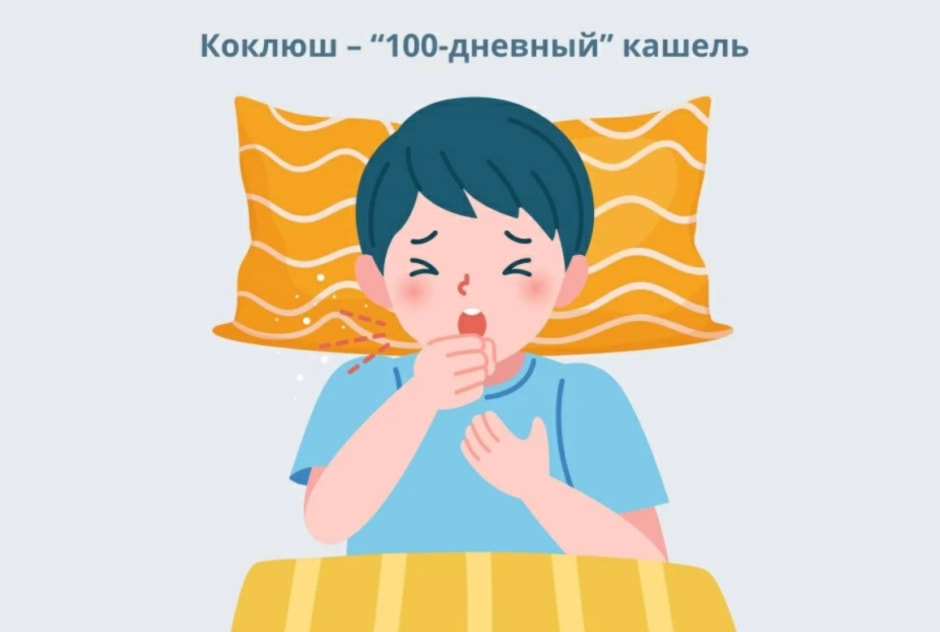 Коклю вакцина.jpg