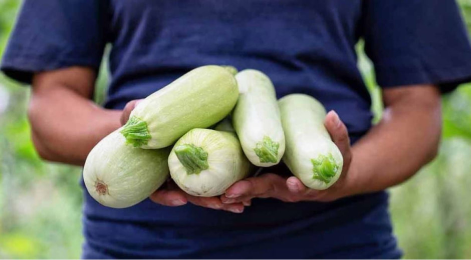 photo_2025-06-11_20-31-50 (4).jpg