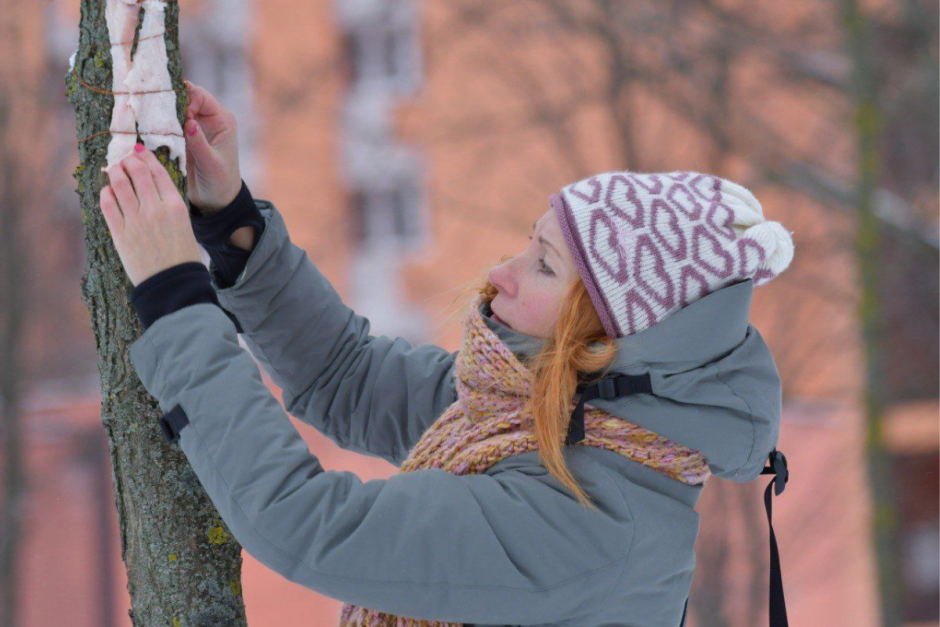 Как правильно подкармливать птиц зимой 10.png