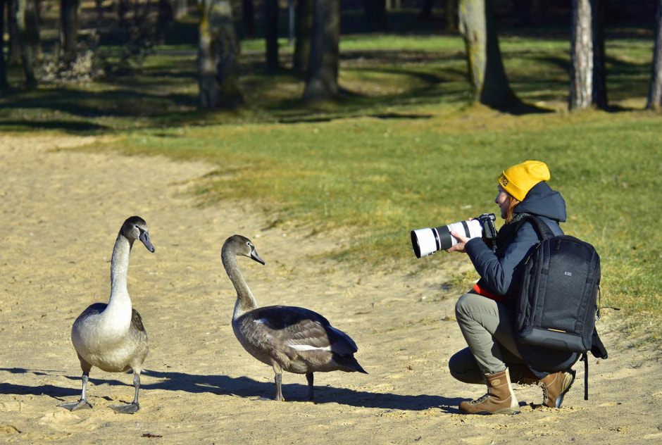 инна шкурко