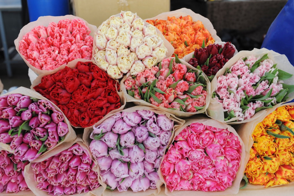 Цветы на Комаровке 11.jpg