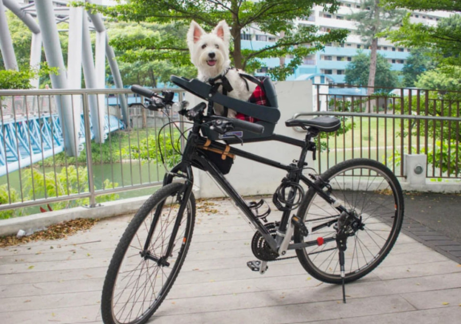 День без автомобиля .jpg