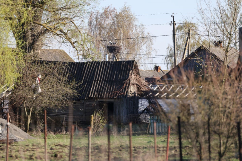 Аисты в деревне Малешев 9.jpg