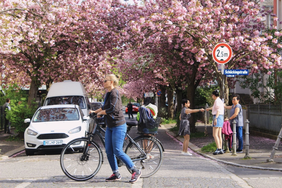 Ханами Марбург 9.jpg