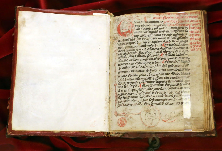 Как раньше лечили женские болезни 4.jpg