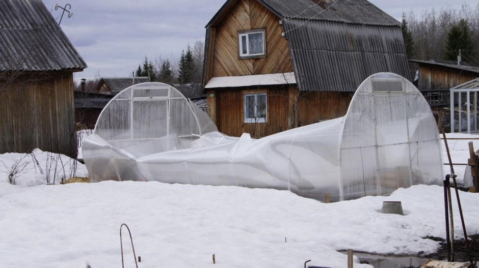 Готовим дачный участок к зиме 7.jpg