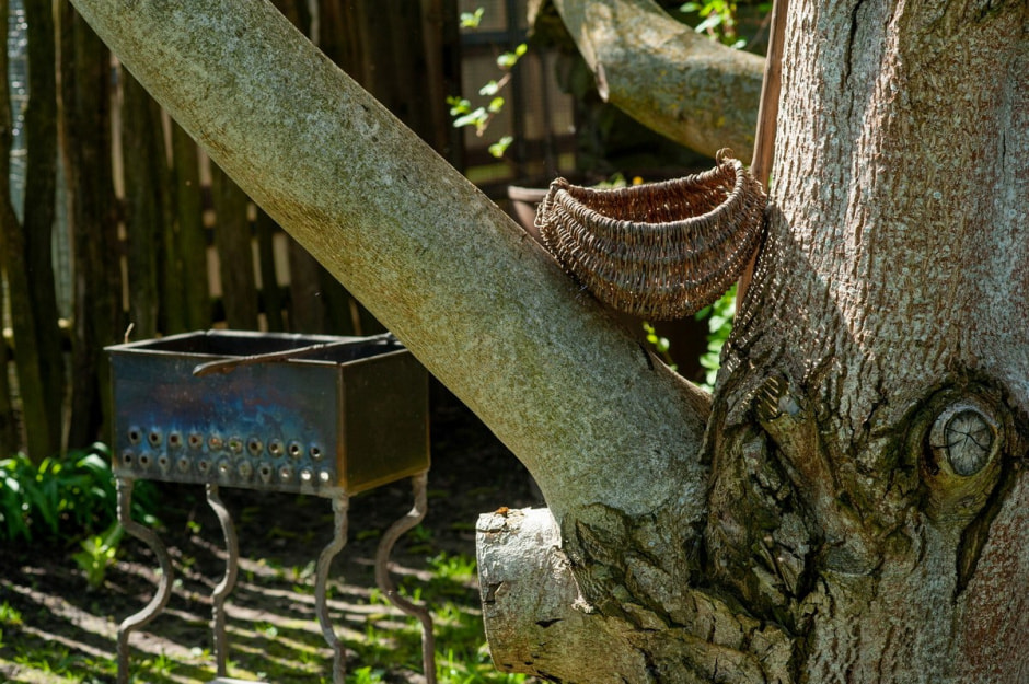 Семья Шокало и экзотический сад 8.jpg