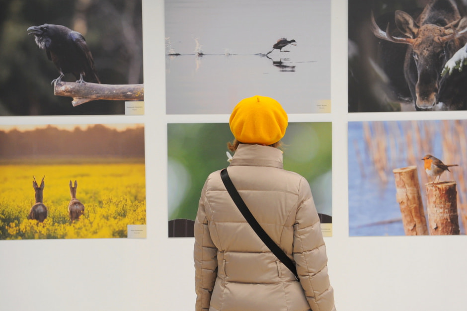 выставка Дикая природа Беларуси 4.JPG