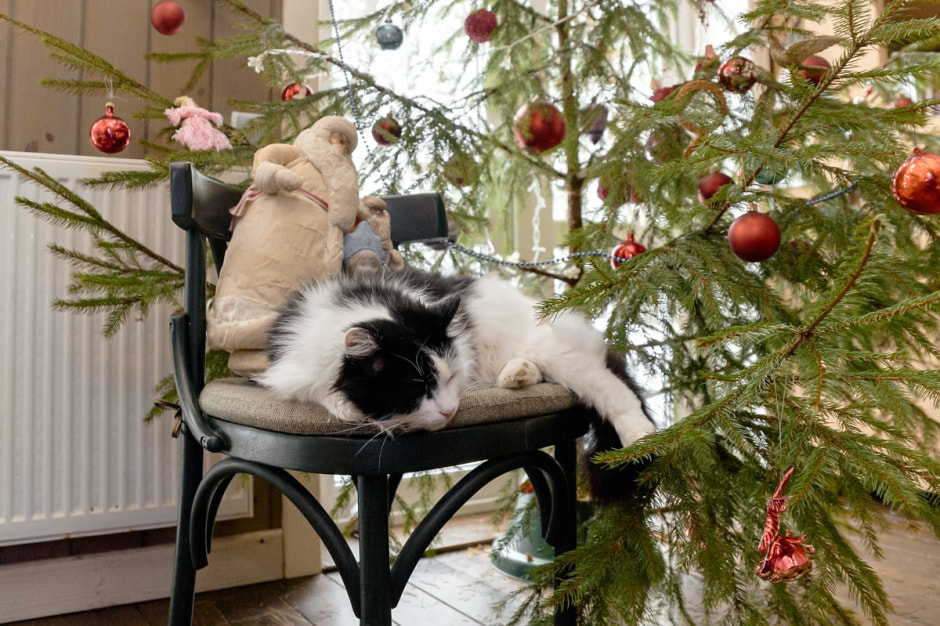 Агроусадьба Малиновка 3.jpg