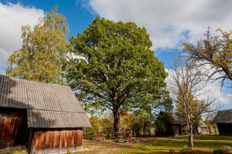 Хата прадеда в Любках 7.jpg Хата прадеда в Любках 7.jpg
