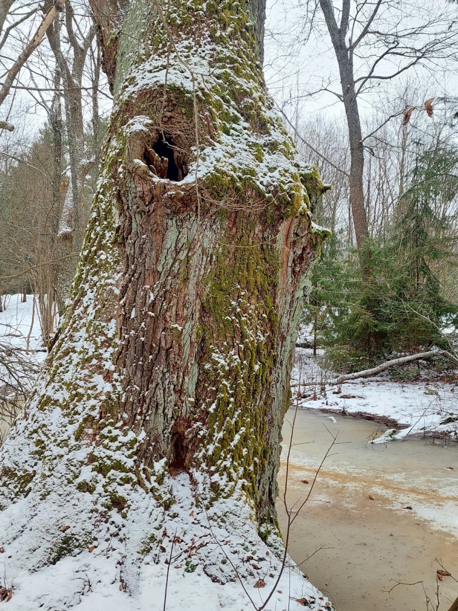 Хутор Комаришки 20.jpg