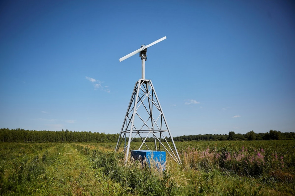 Как выращивают голубику 15.jpg