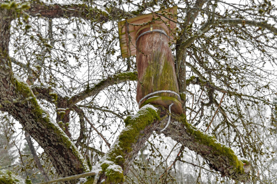 Хутор Комаришки 12.jpg