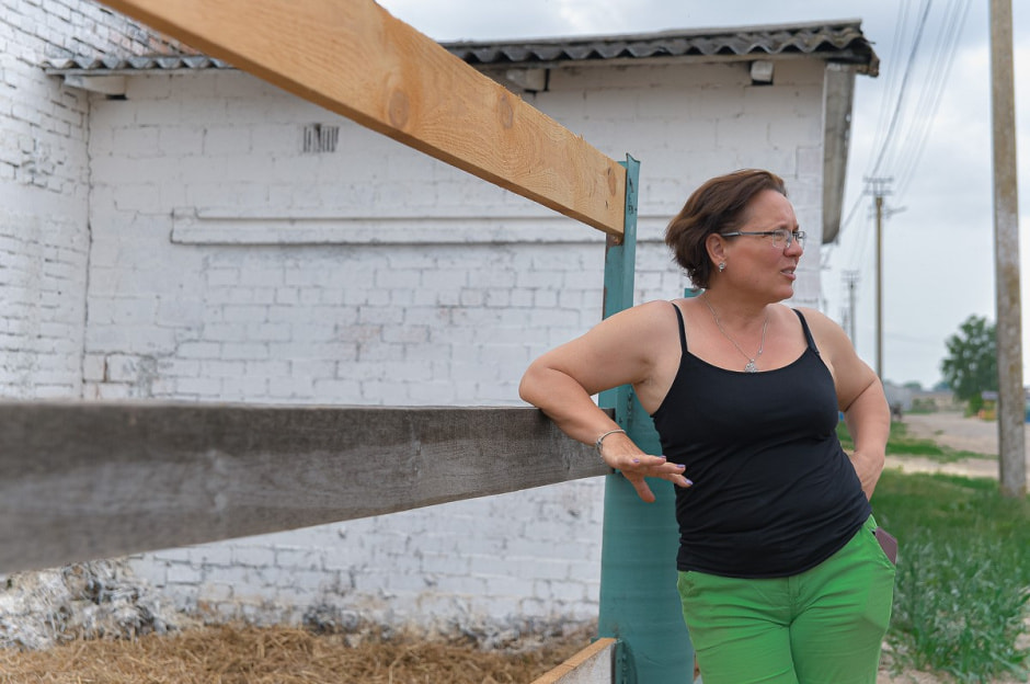 Лошади в Столинском районе 12.jpg