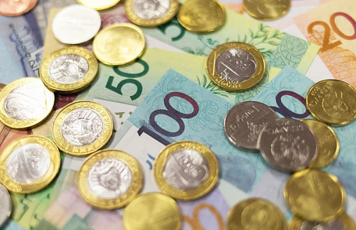 Сразу несколько зарплат и допвыходной еженедельно. Когда это положено белорусам?