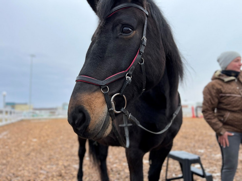 Экопарк Акварель 29.jpg