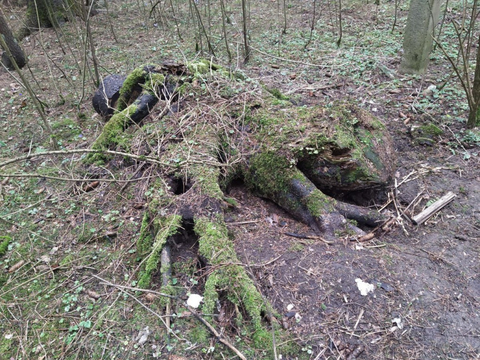 Парк 50-летия Октября 30.jpg