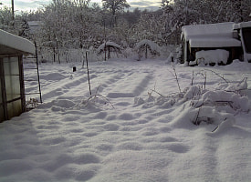 До -18°С и скользко. Погода в Беларуси 15 января
