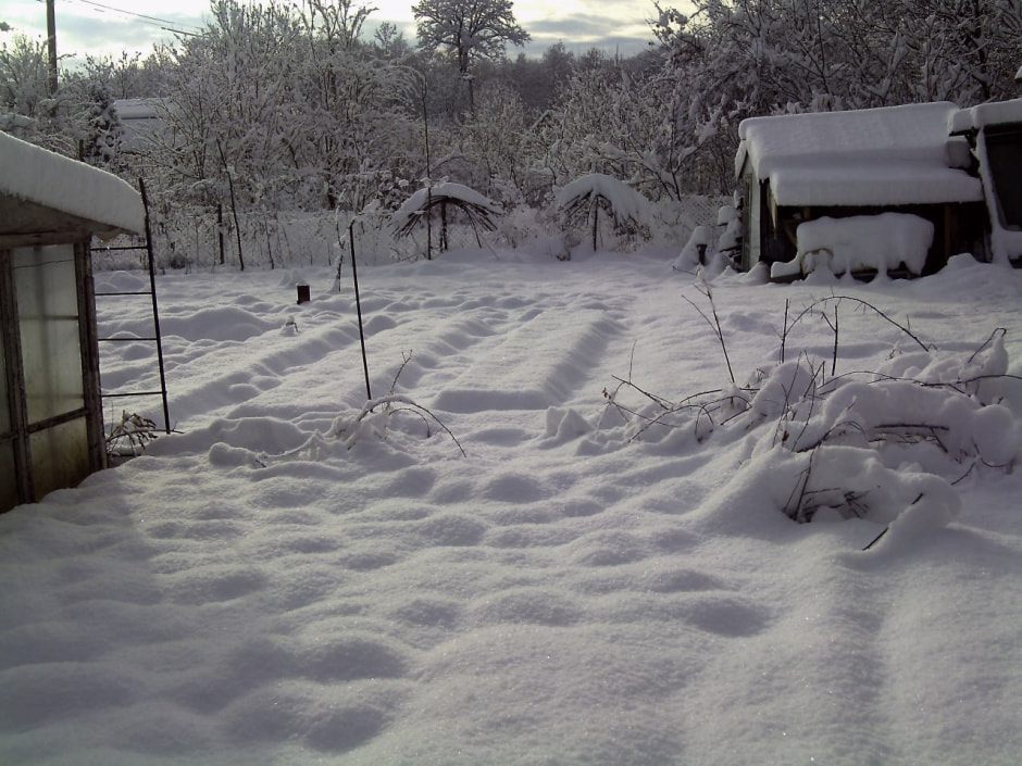 снег на даче2.jpg