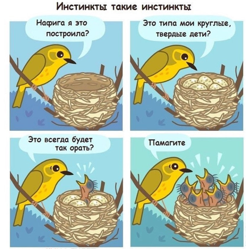 материнство2.jpg