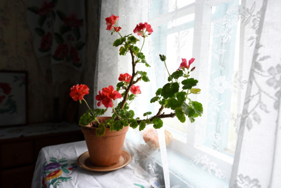 Пара из деревни Обруб 20.jpg