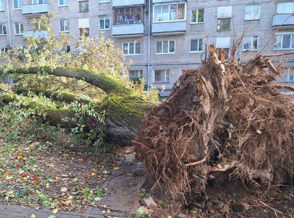 Последствия урагана.jpg