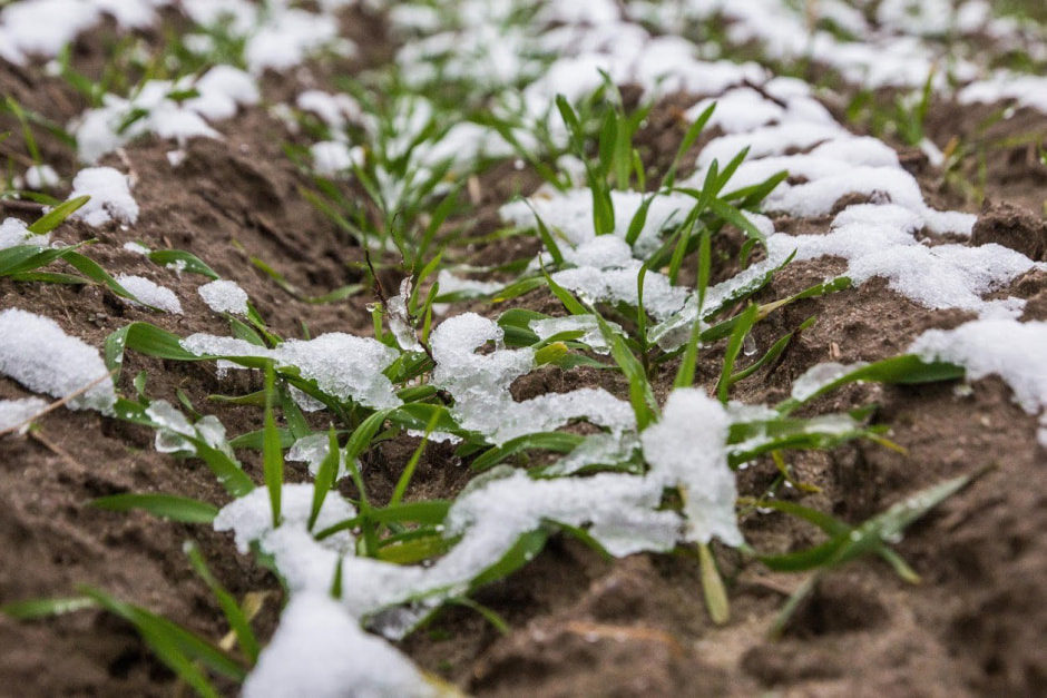 photo_2026-01-06_16-52-47 (2).jpg