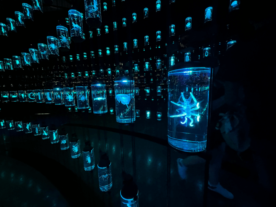 новинки дубаи00004.png