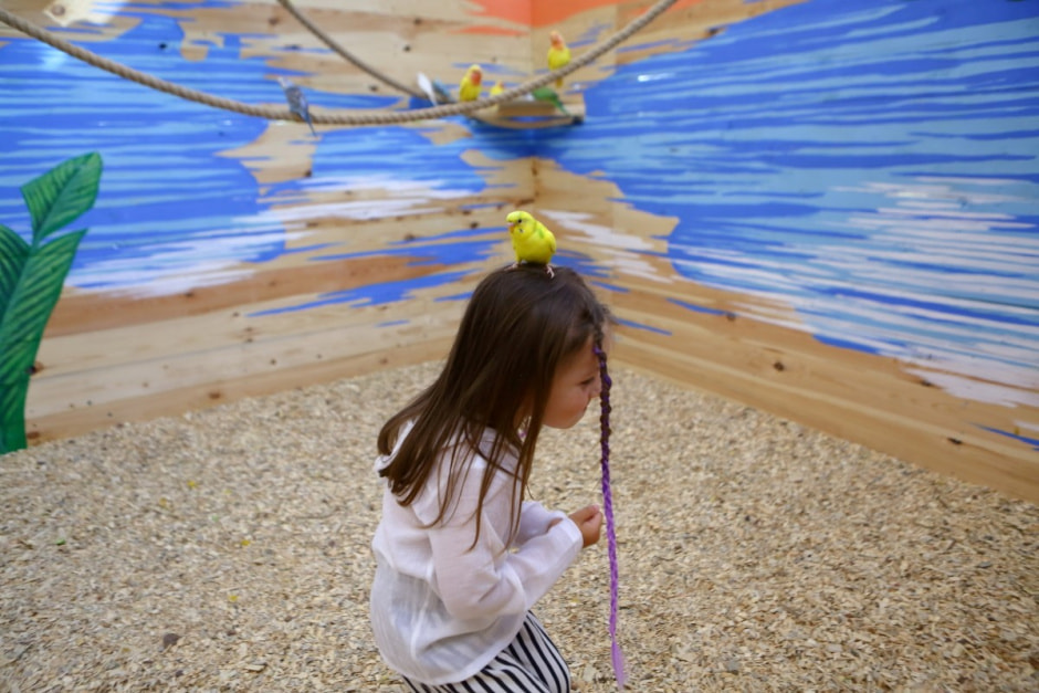 Попугайня в Витебске 10.jpg