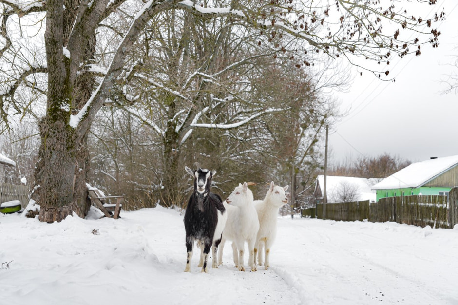 Автолавка в Глусском районе 26.jpg Автолавка в Глусском районе 26.jpg