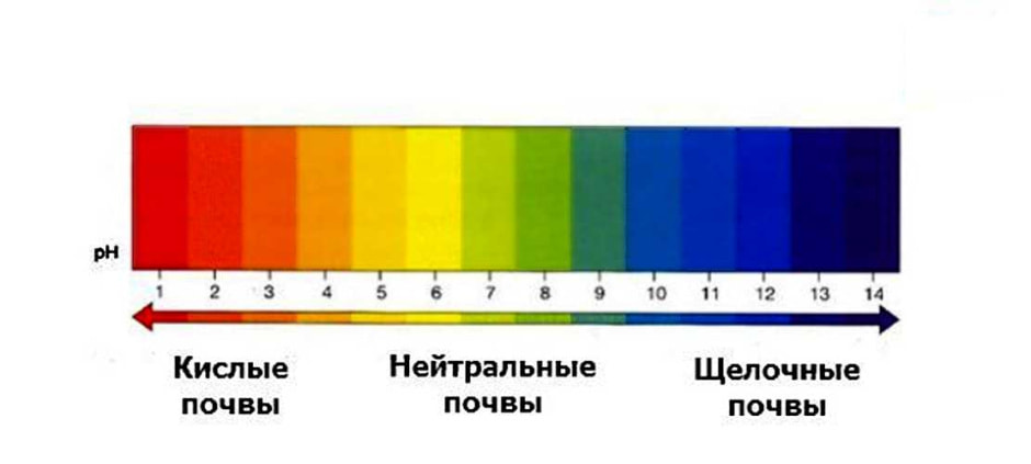 Кислотность почвы.jpg