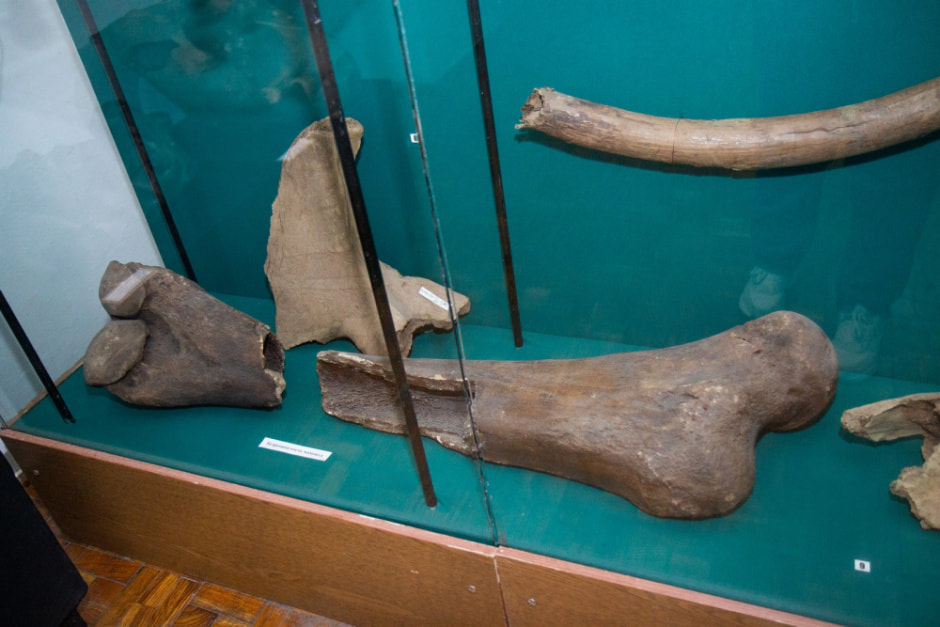 музей Палесся18.jpg