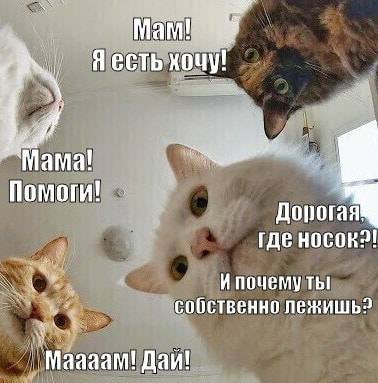 мамина работа