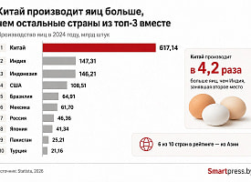 Китай производит больше 600 млрд яиц в год. Какие страны вошли в мировой топ-10